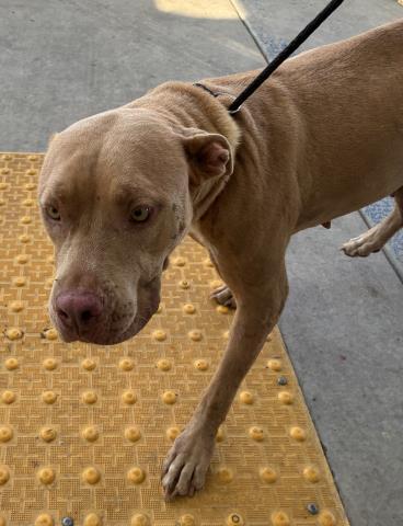 Mila -- URGENT!!! OUT OF TIME!!!