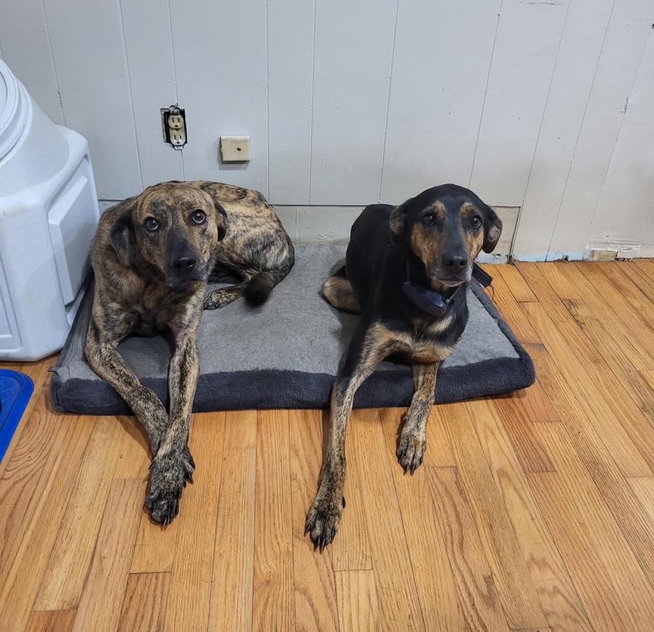 Zeke & Selena