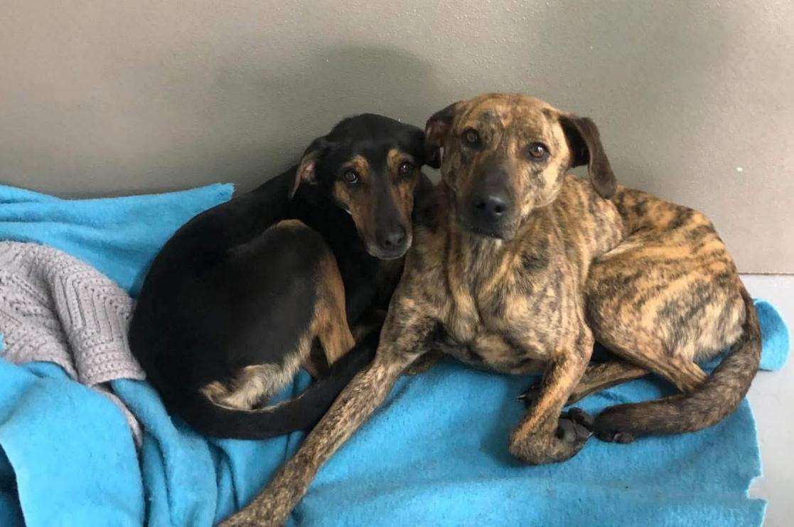 Zeke & Selena