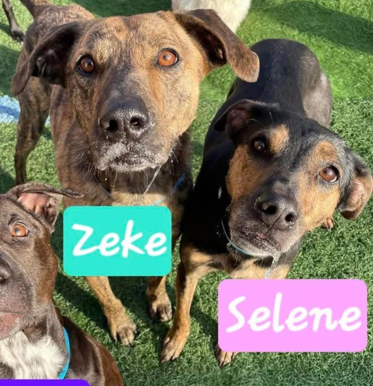 Zeke & Selena
