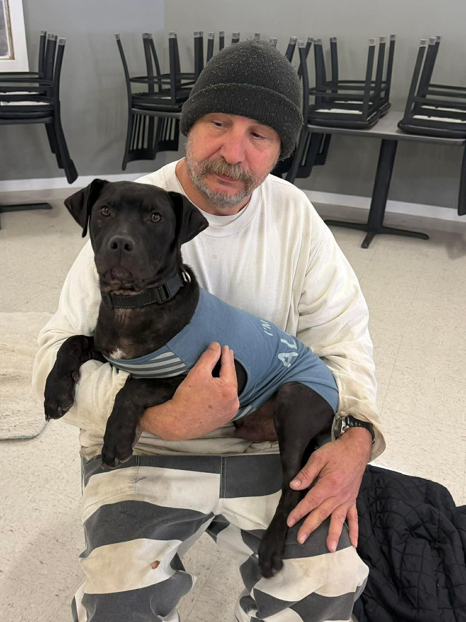 Tony , ADOPTABLE, Puppy Male Pit Bull Terrier & Mixed Breed.