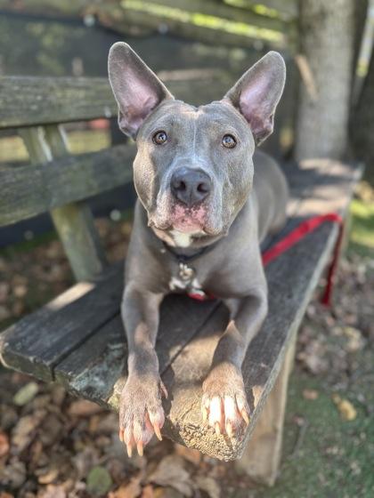 Riley fka Princess — thumbnail 2