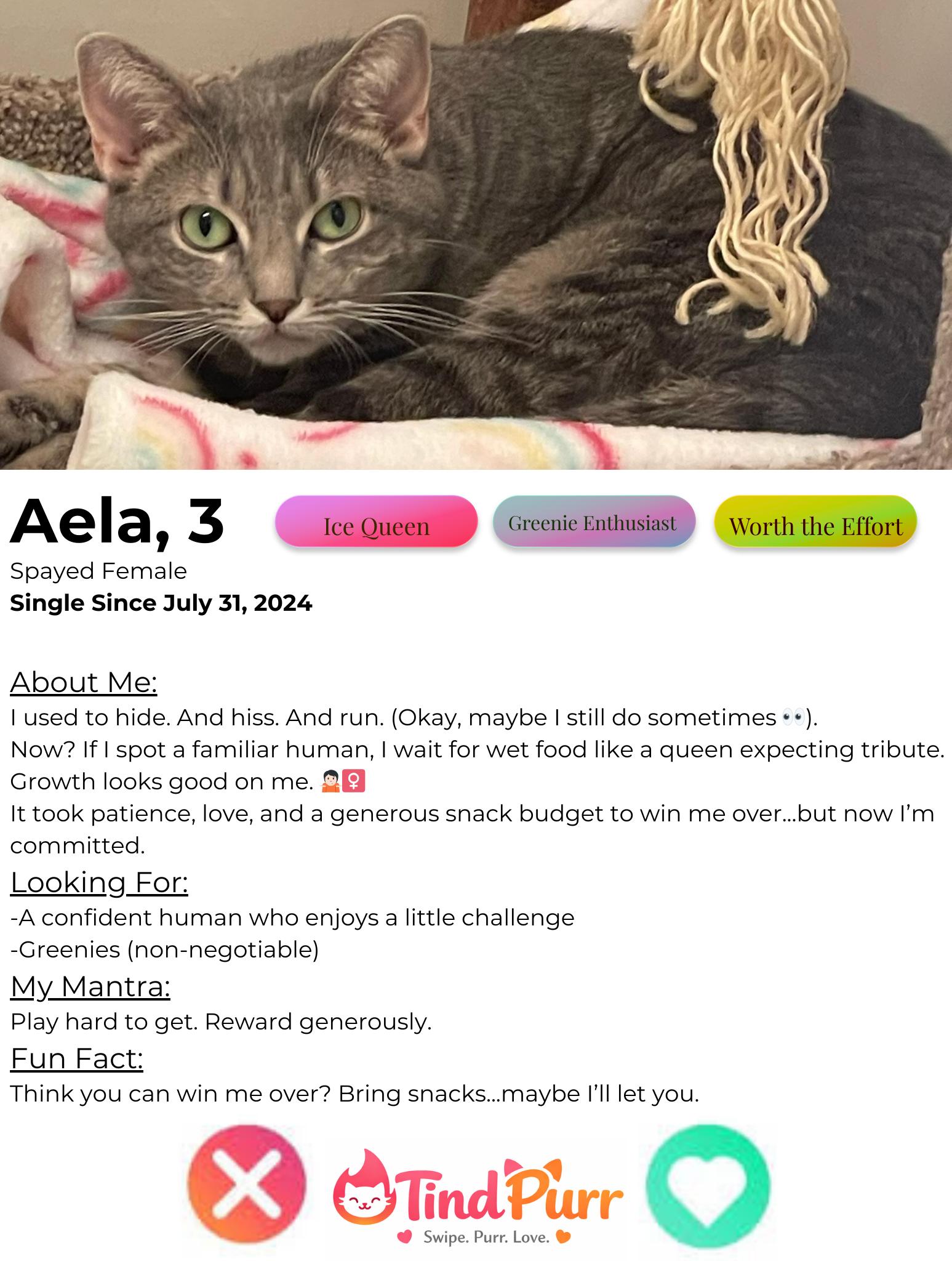 Aela — thumbnail 3