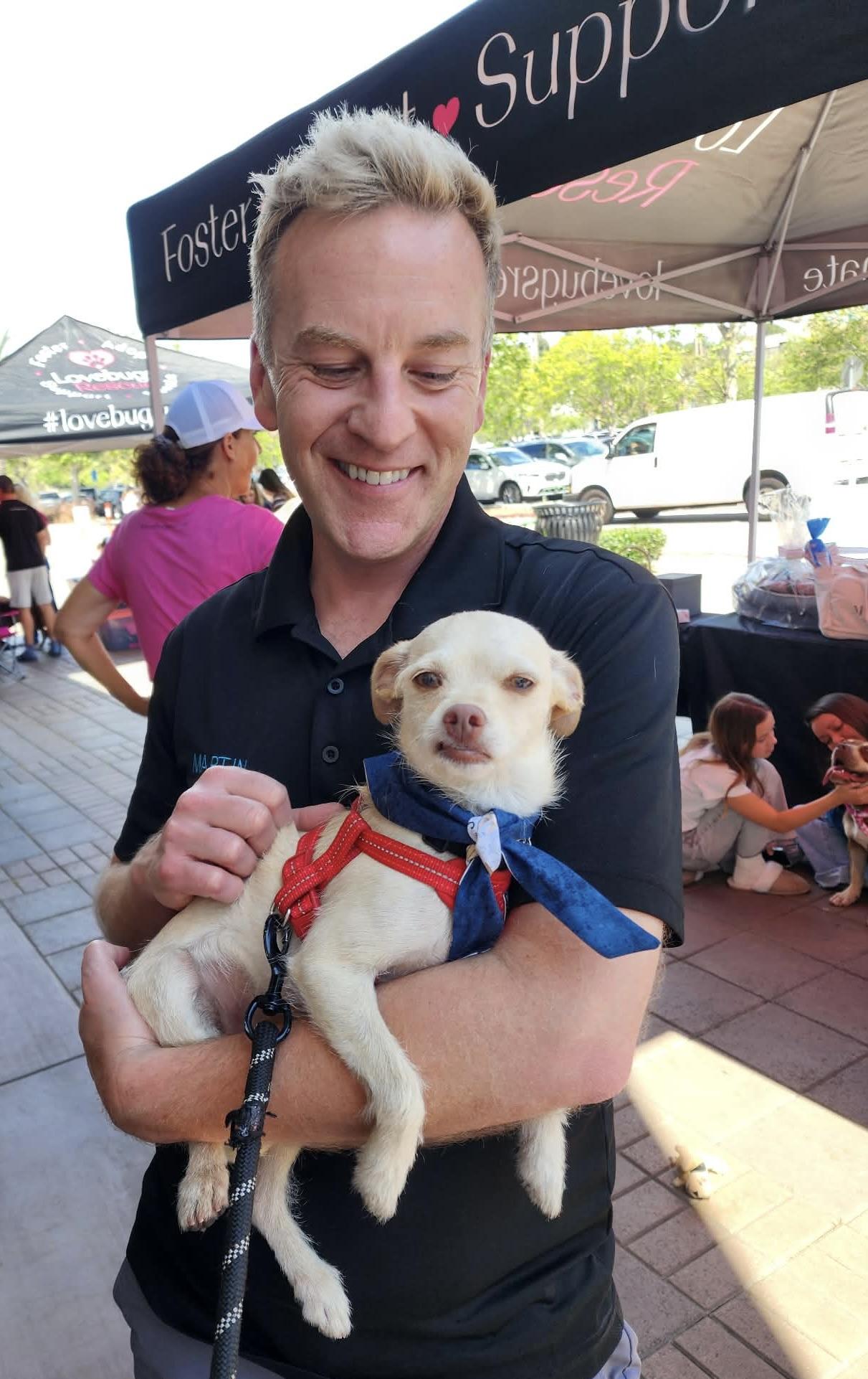 Enlarge Graham, a ADOPTABLE mixed breed in Corona Del Mar, CA image 4/4