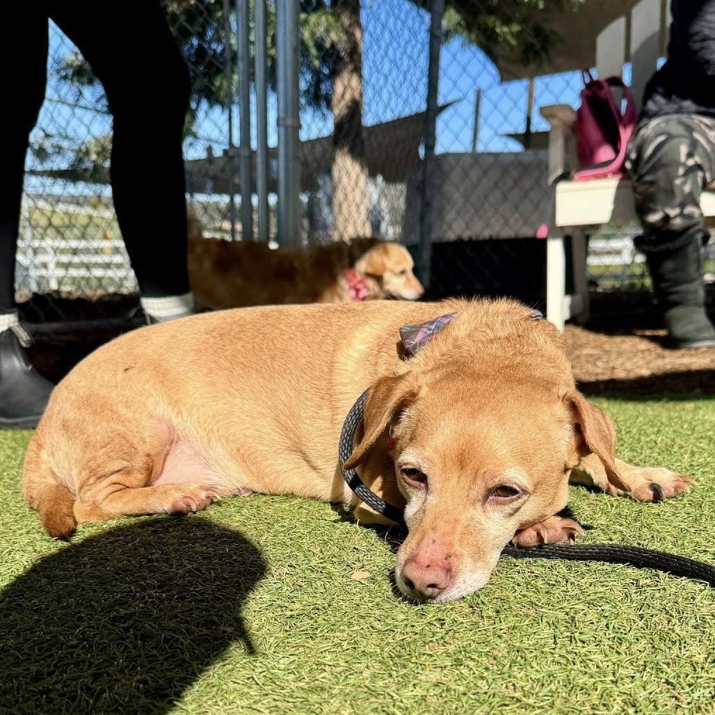 Kobe — thumbnail 2