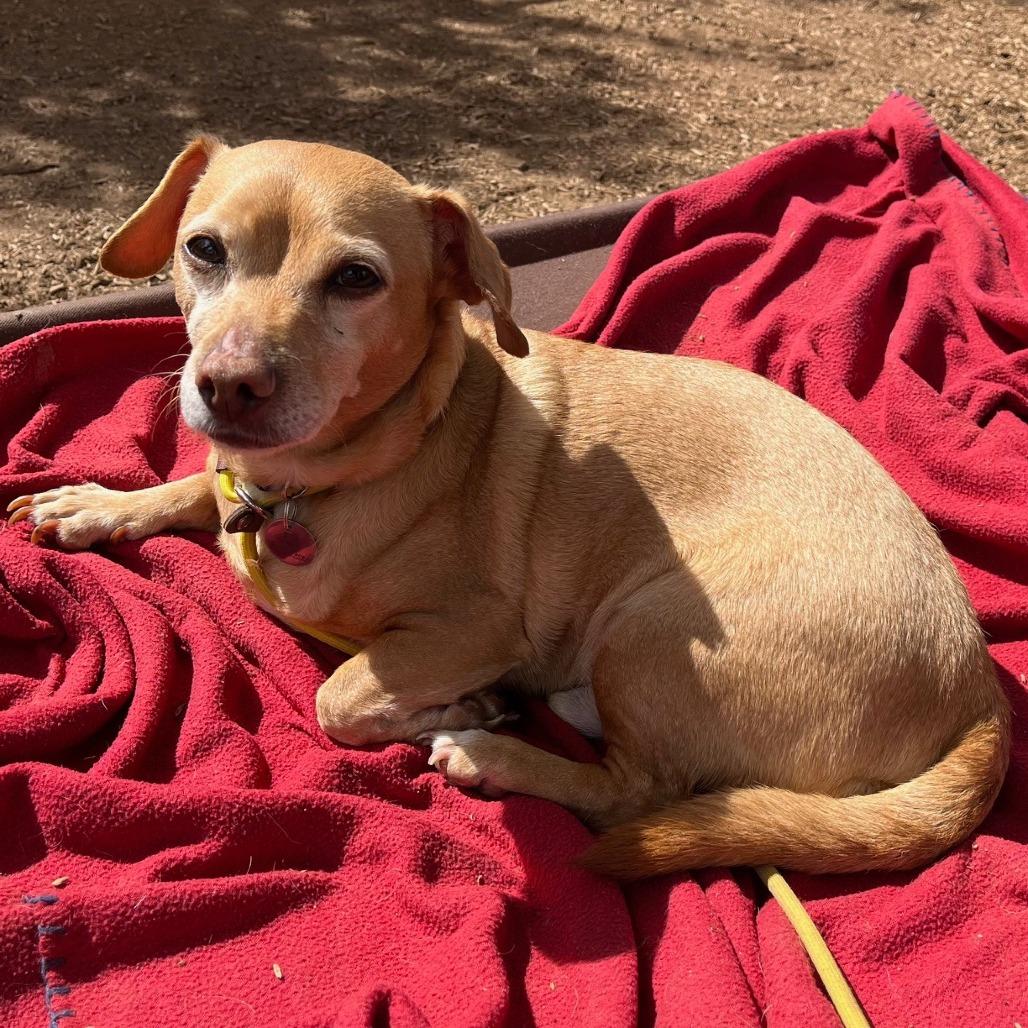 Kobe — thumbnail 3