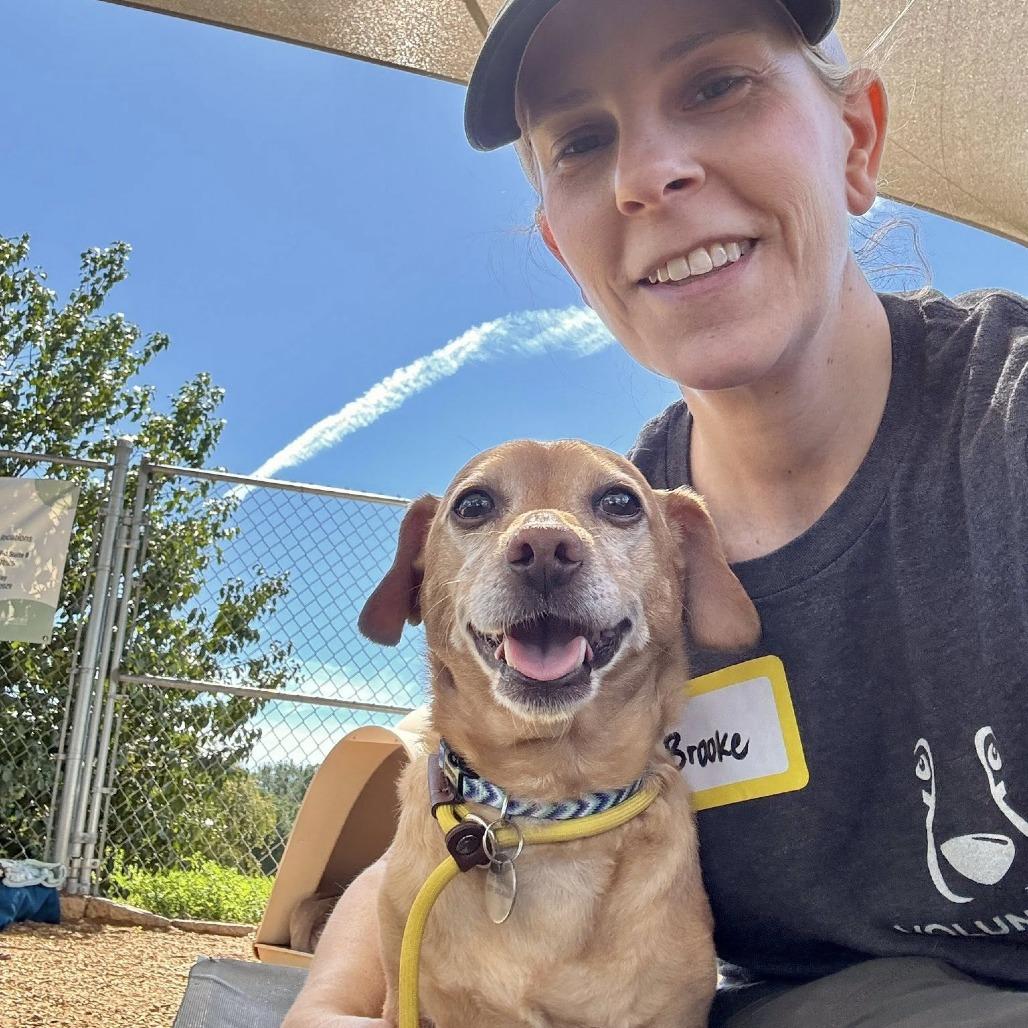 Kobe — thumbnail 4