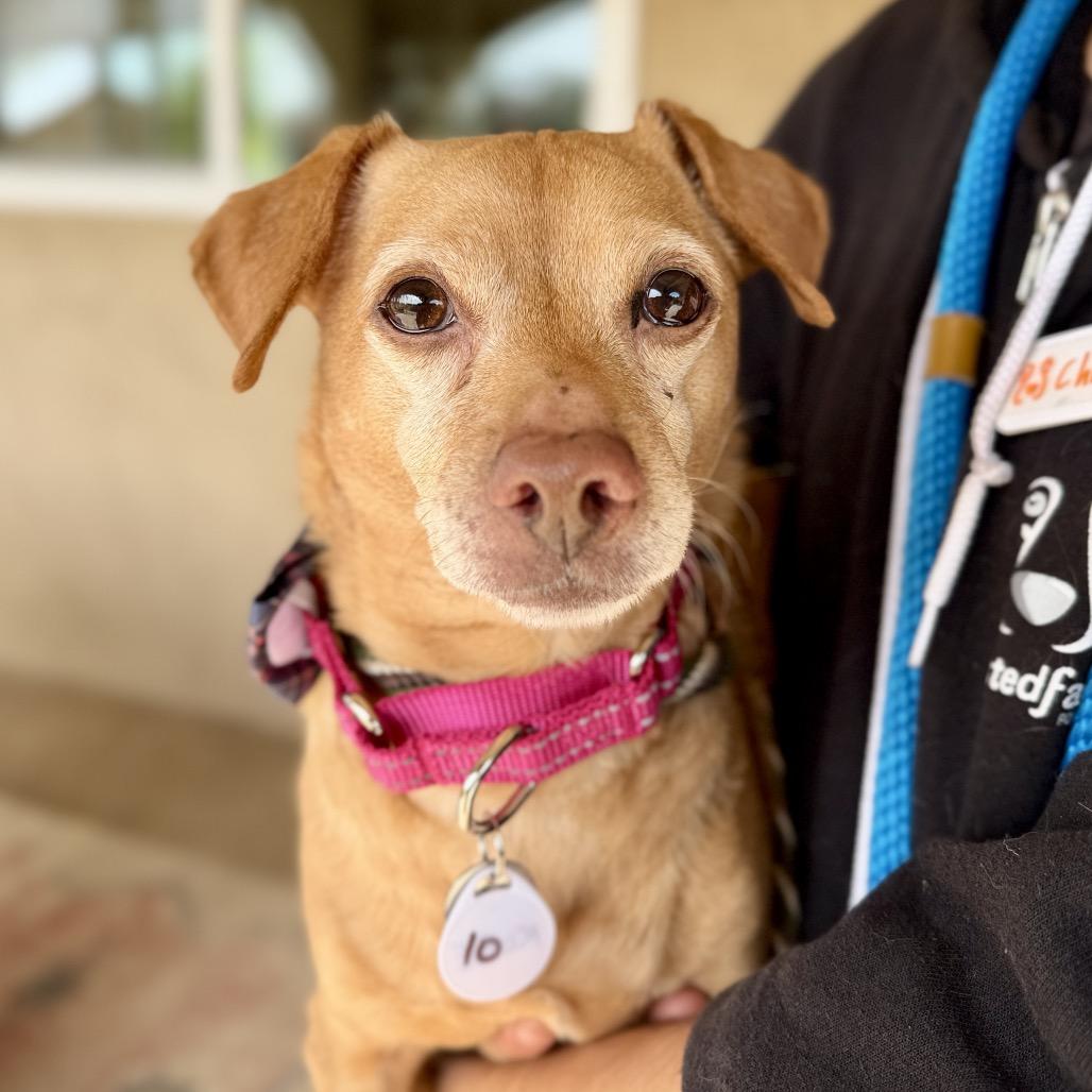 Kobe — thumbnail 5