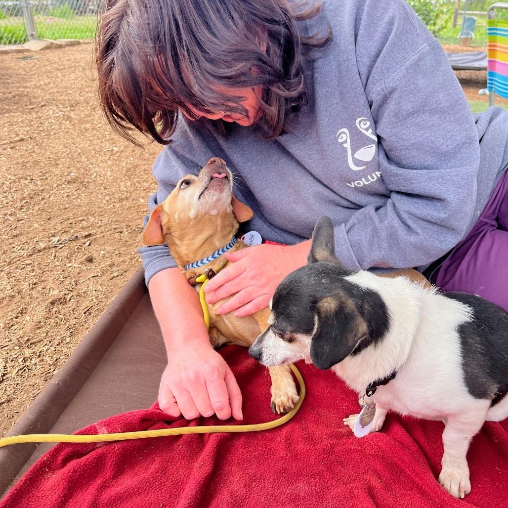 Kobe — thumbnail 6