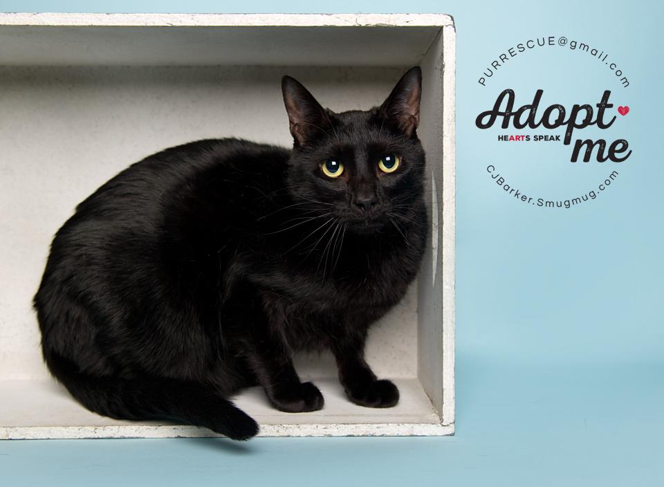 Test Colin .. thumbnail 3