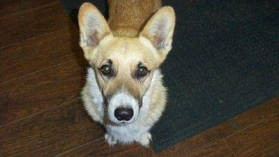 Test Colin .. thumbnail 5