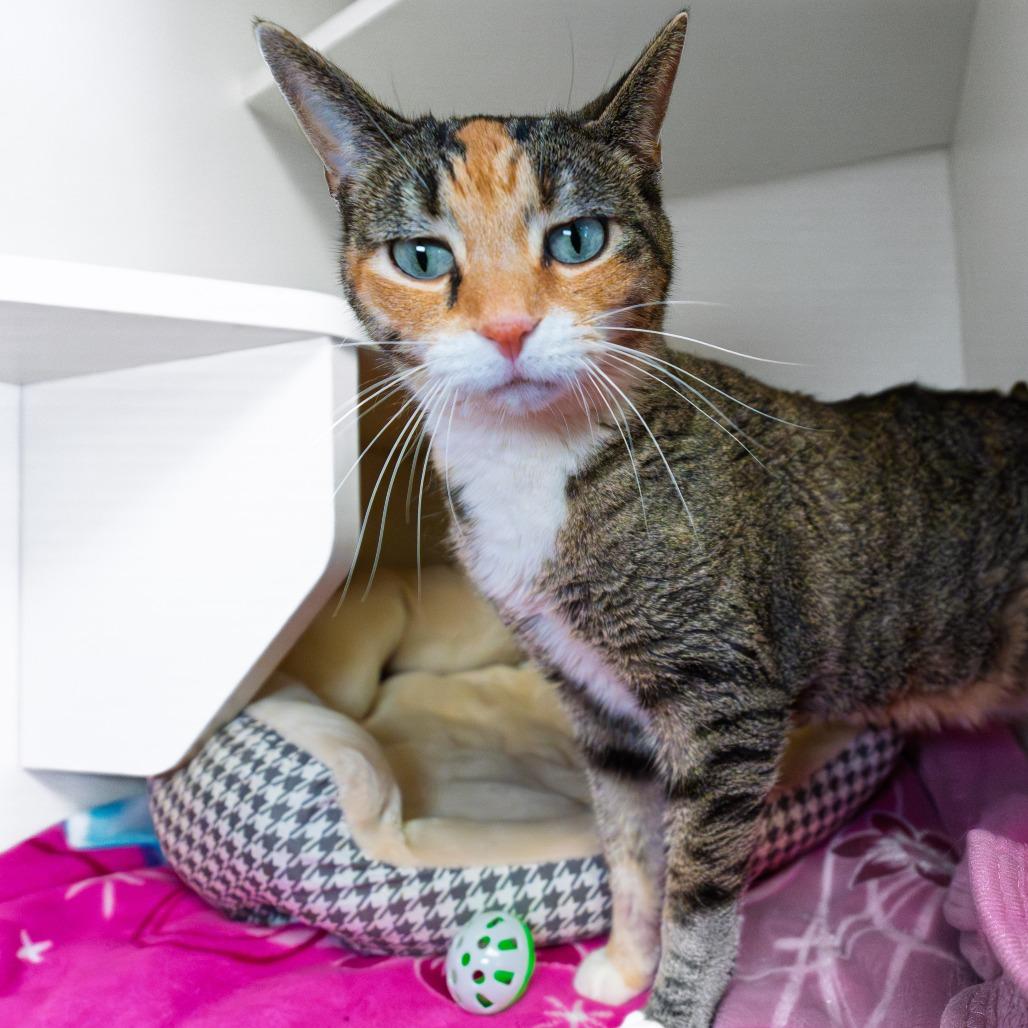 Lily — thumbnail 2