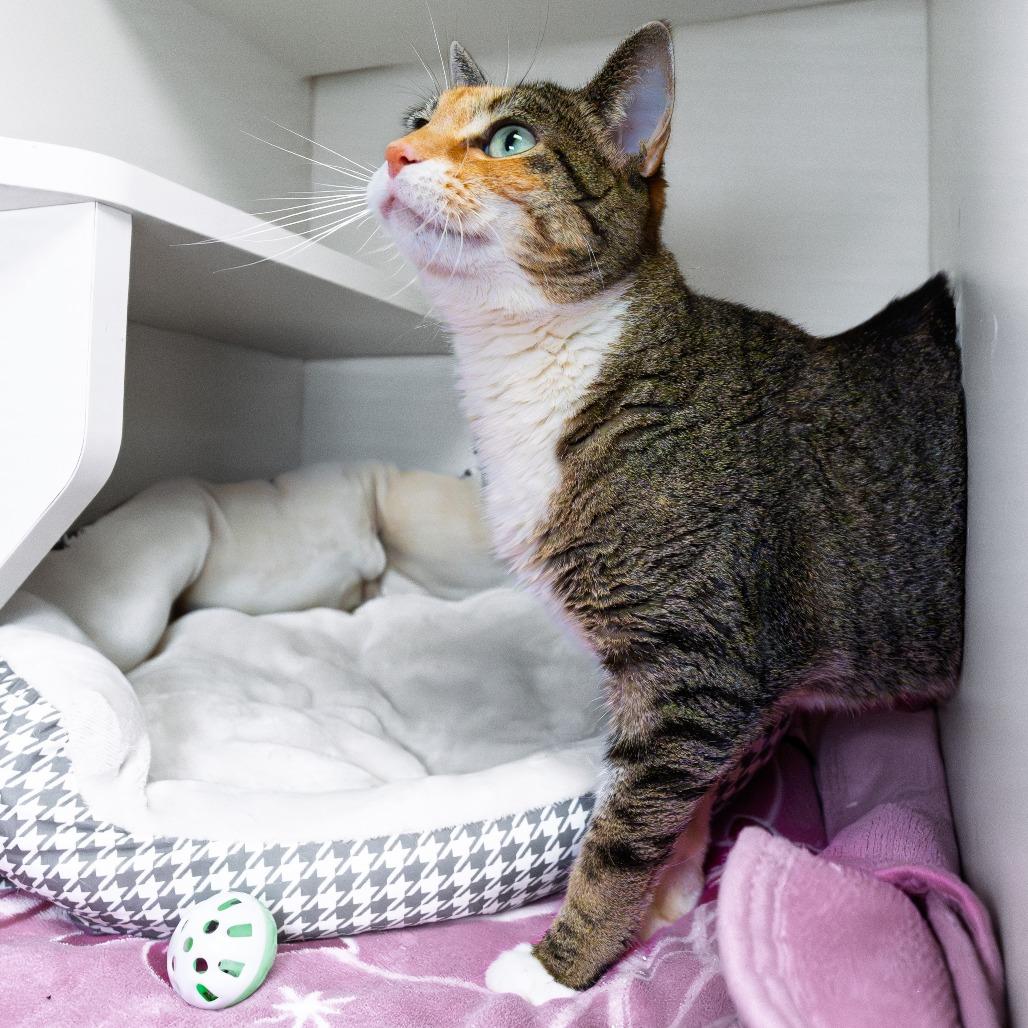 Lily — thumbnail 4