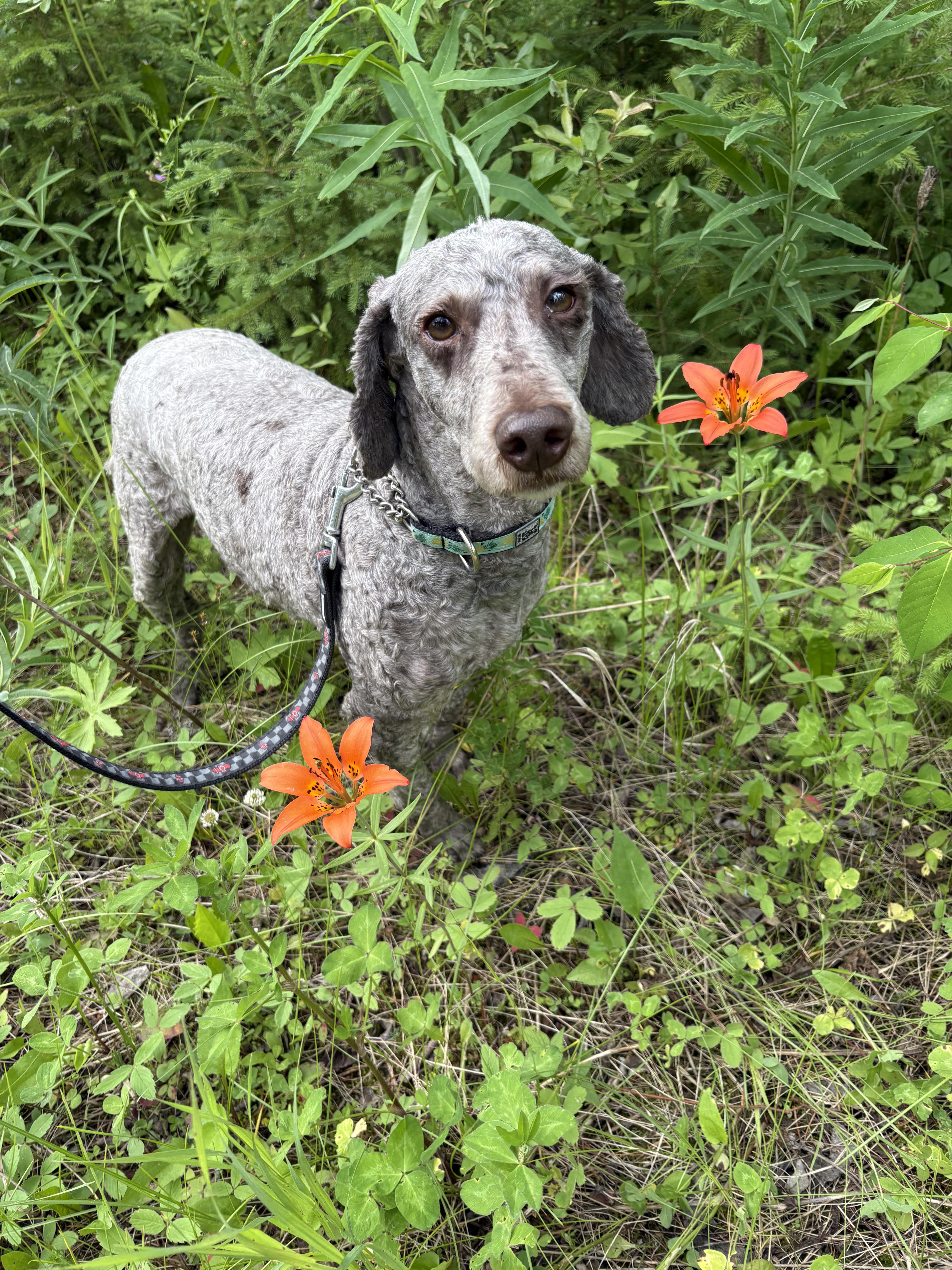 Stanley photo 3