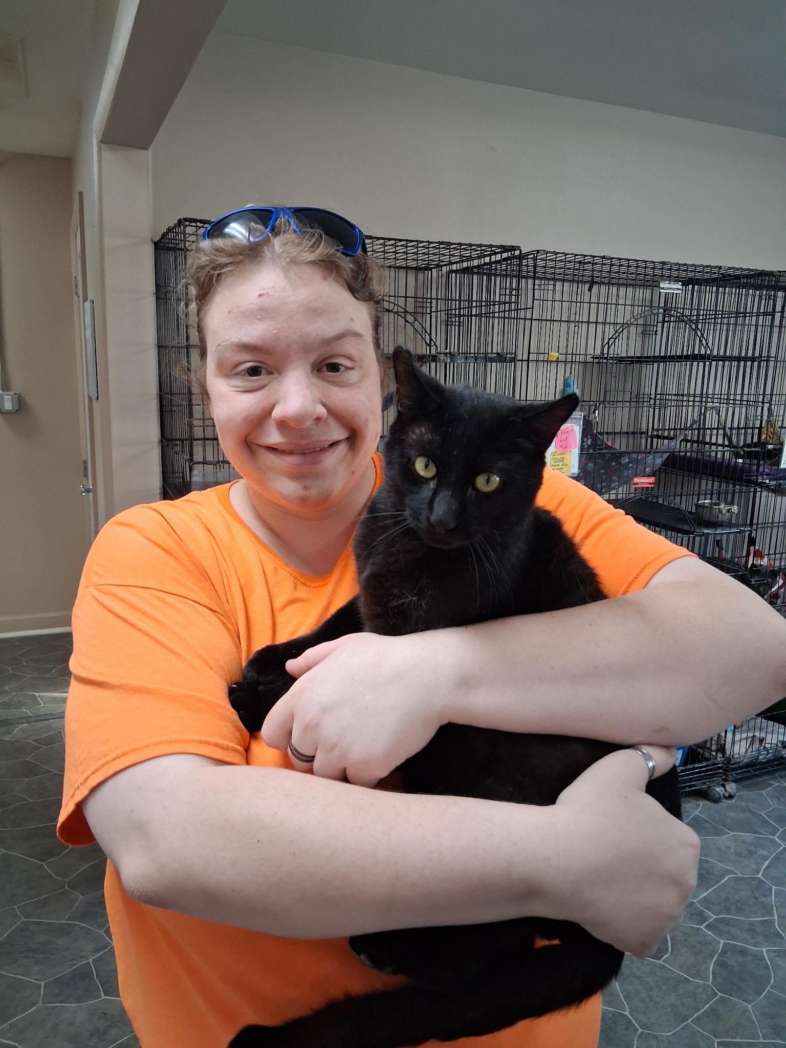 Enlarge Magic, a ADOPTABLE Domestic Short Hair in Lapeer, MI image 2/6