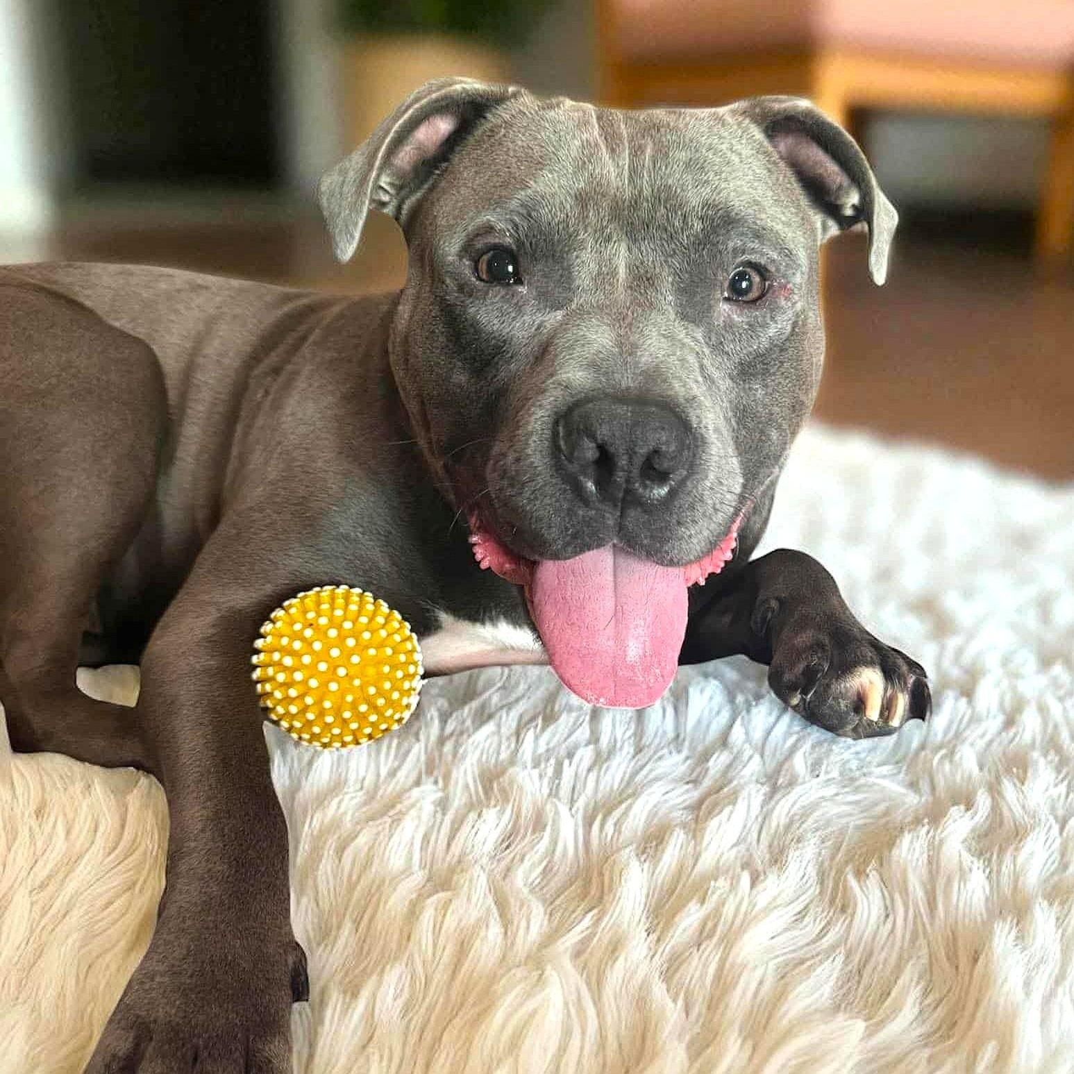 CODA