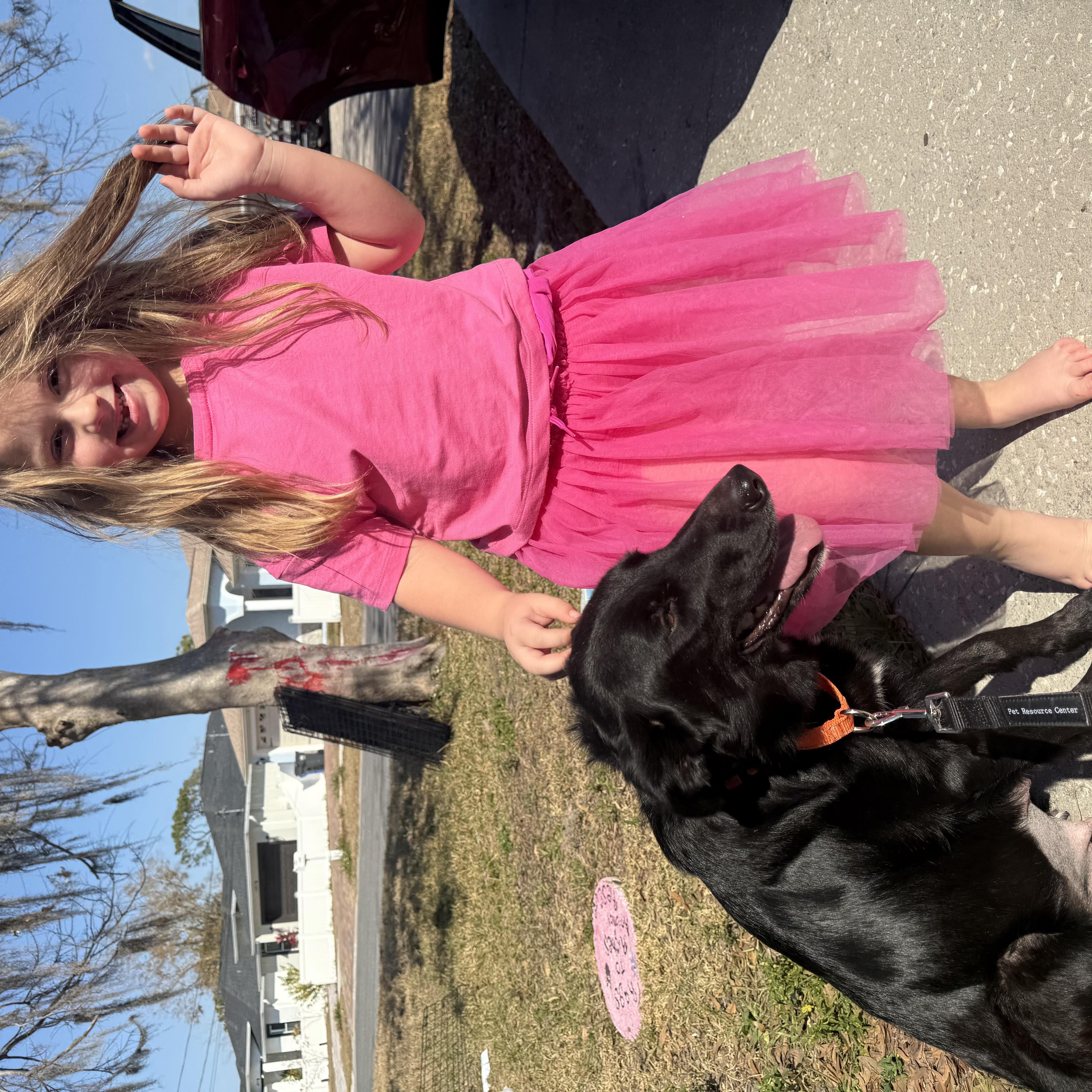 Scarlett — thumbnail 5