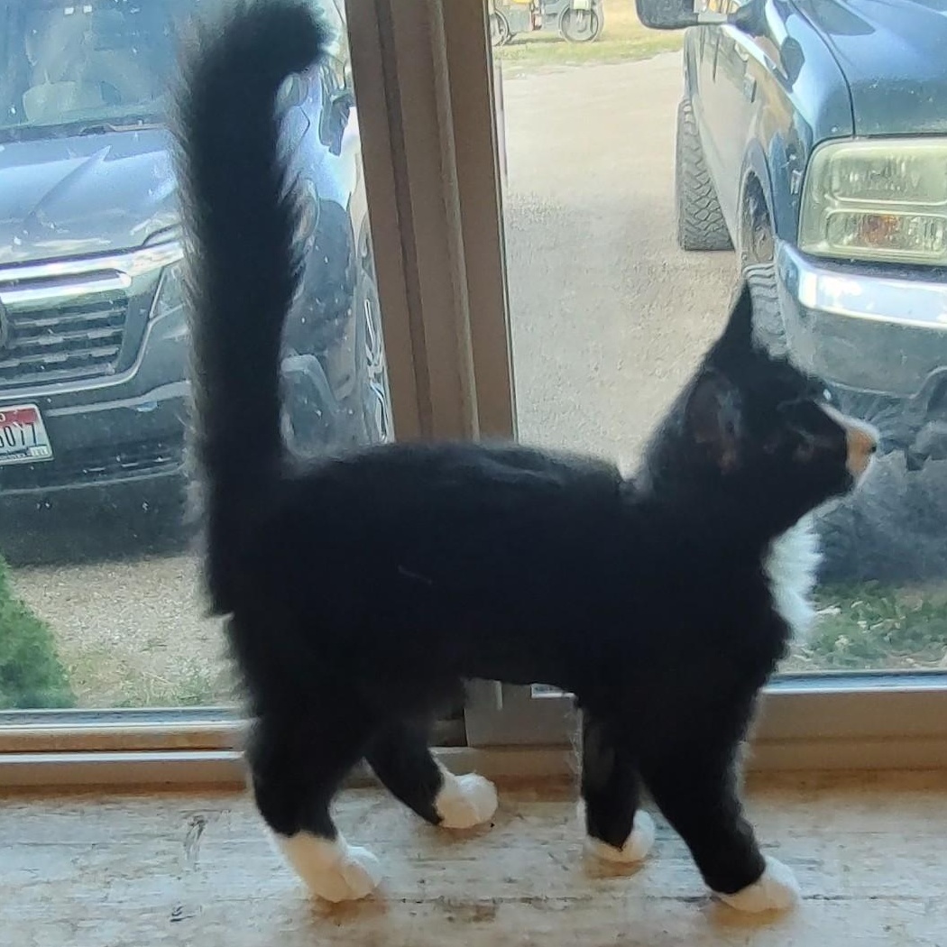 Salem