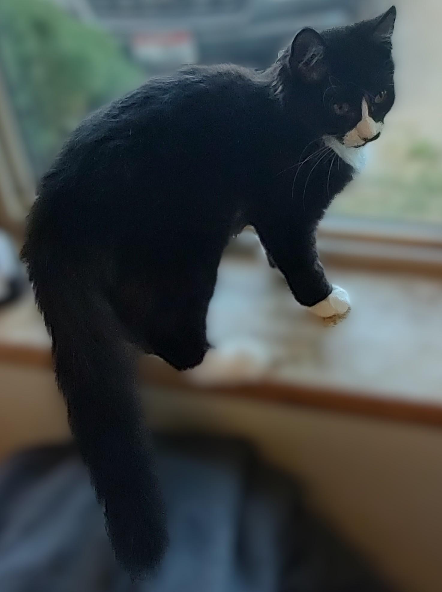 Salem