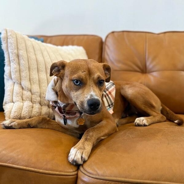 Dottie Sue — thumbnail 5