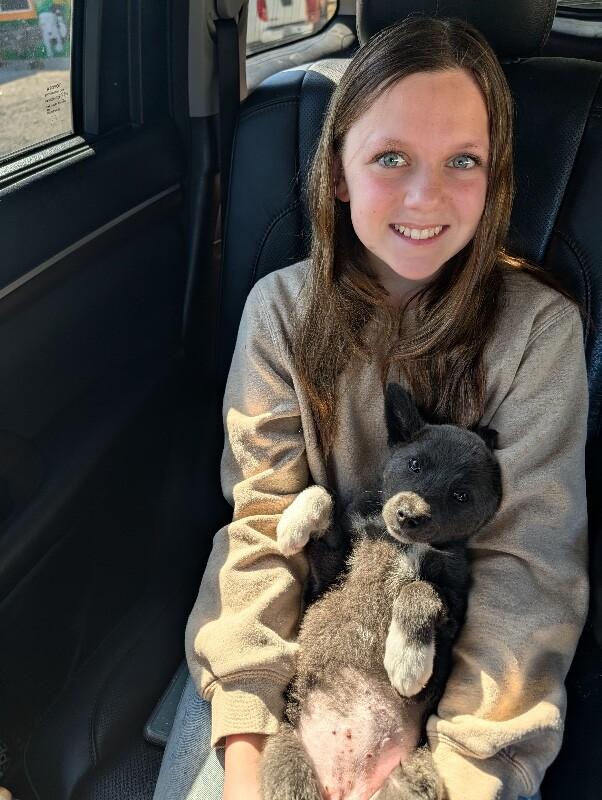 Snow Rain — thumbnail 3