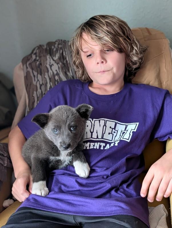 Snow Rain — thumbnail 4