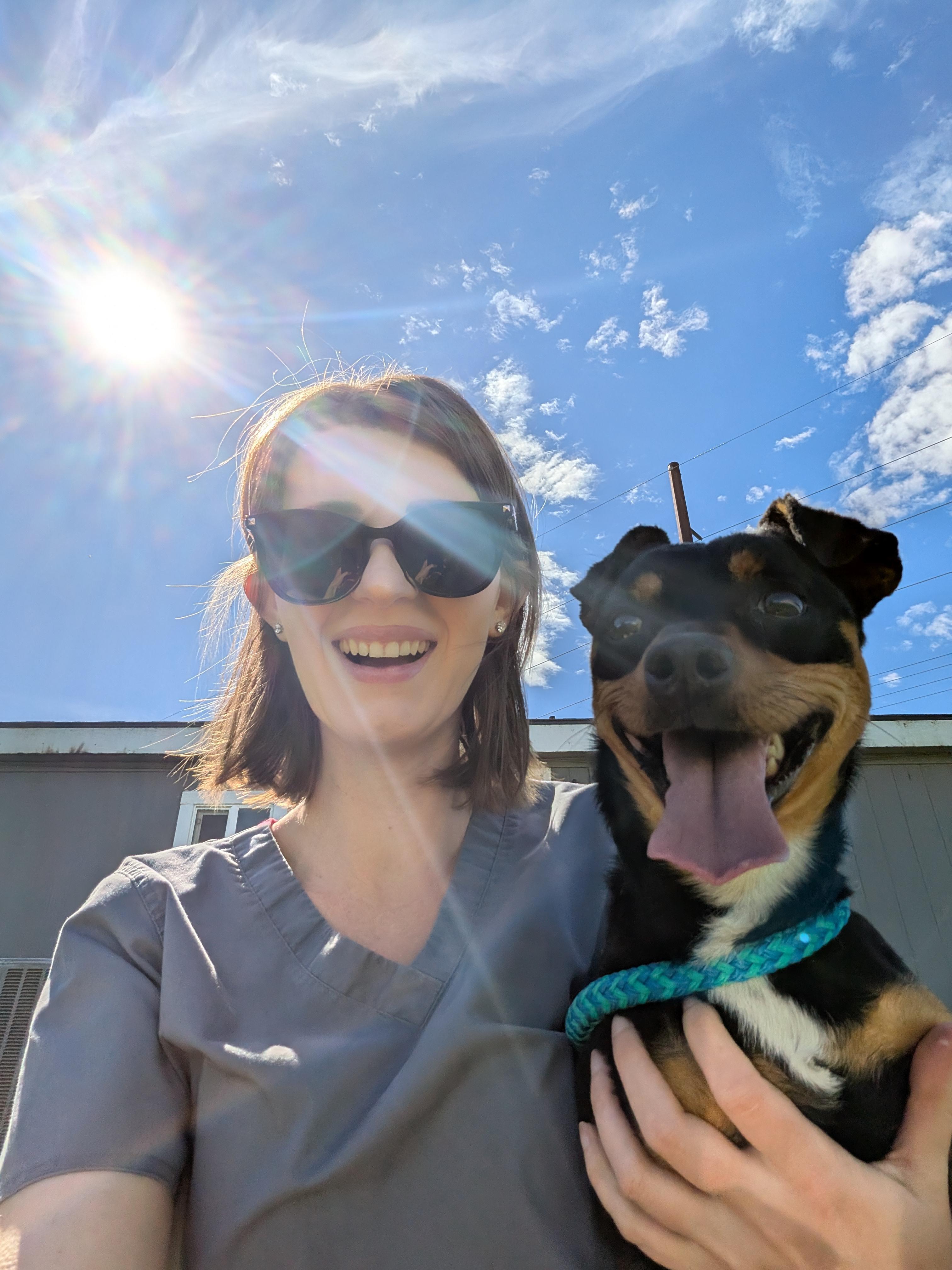 Enlarge Rango, an adoptable mixed breed in Hermiston, OR image 2/4