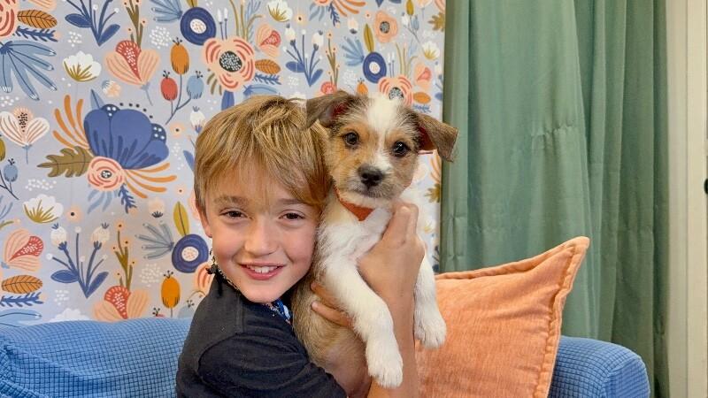 Tiny Tim Scruffy — thumbnail 2