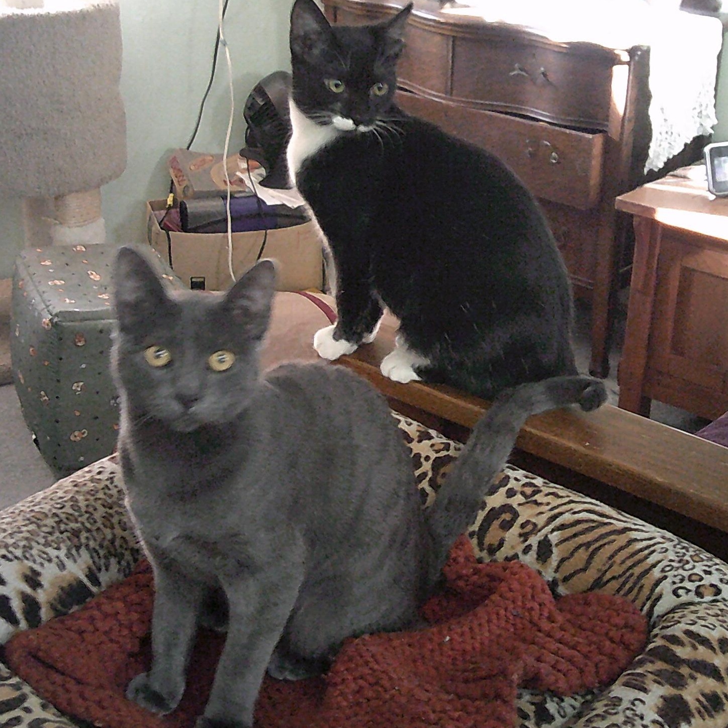 The Timber Group-(5)