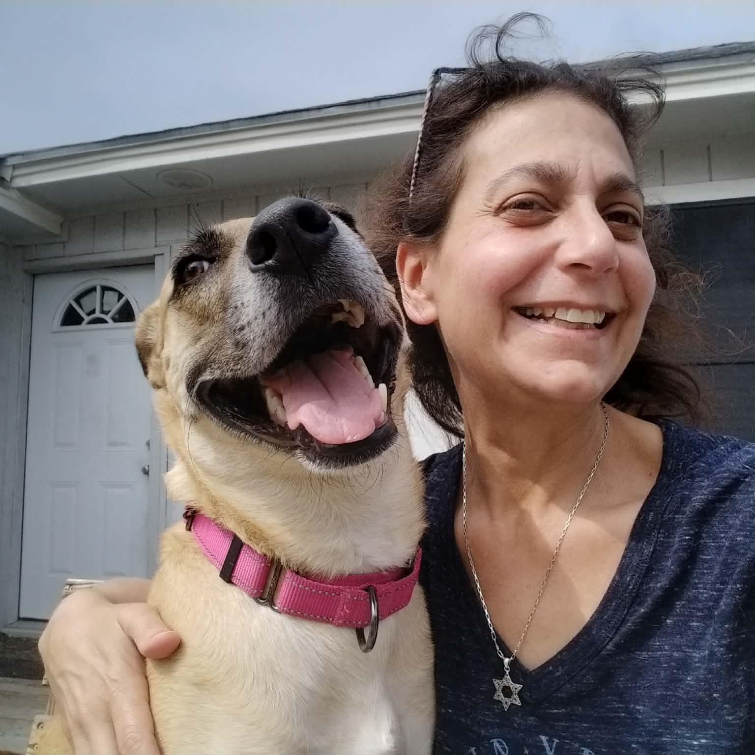 Vibrant Vicky, an adopted mixed breed in Baltimore, MD image 1/6
