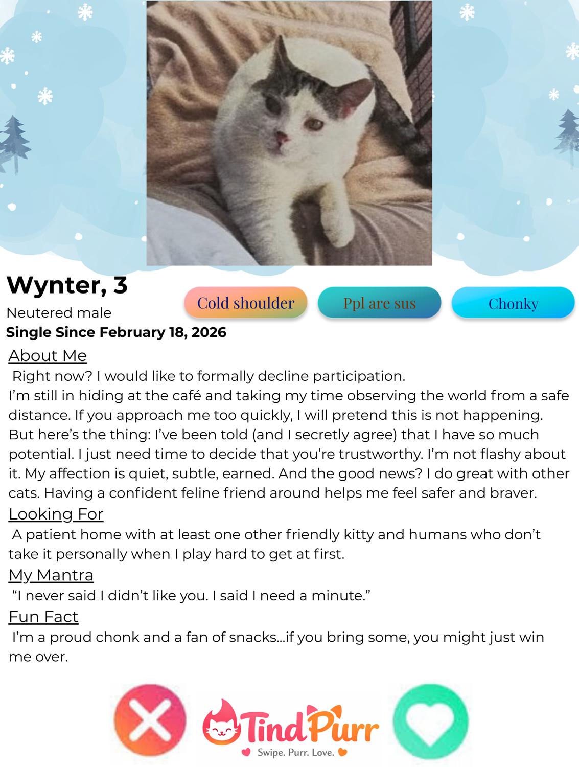 Wynter — thumbnail 2