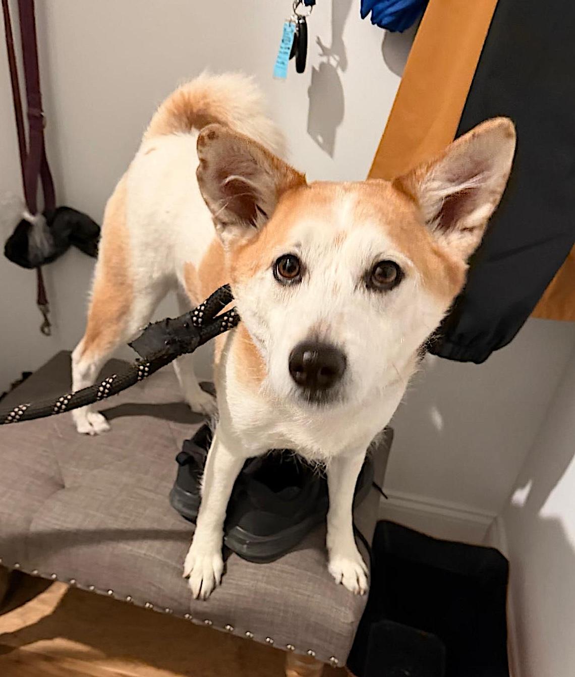 Lucky — thumbnail 3