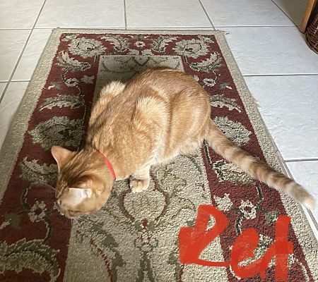 Reddington aka Redd photo 2