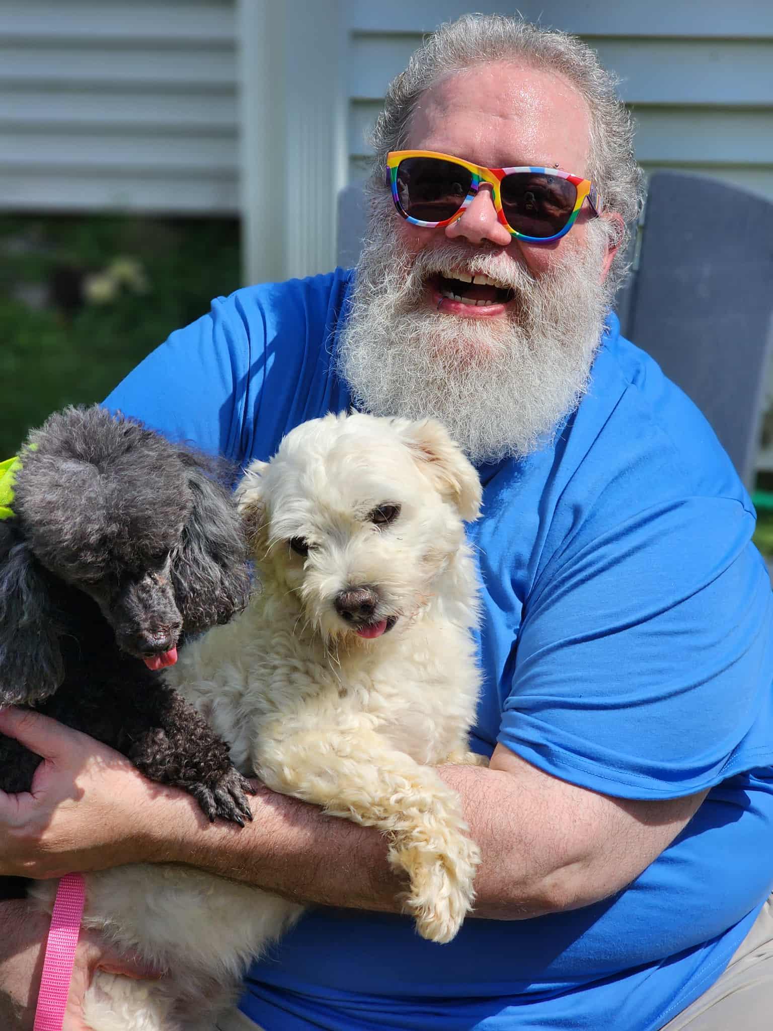 Enlarge Camry, a Adopted Coton de Tulear in Newton, IA image 1/6