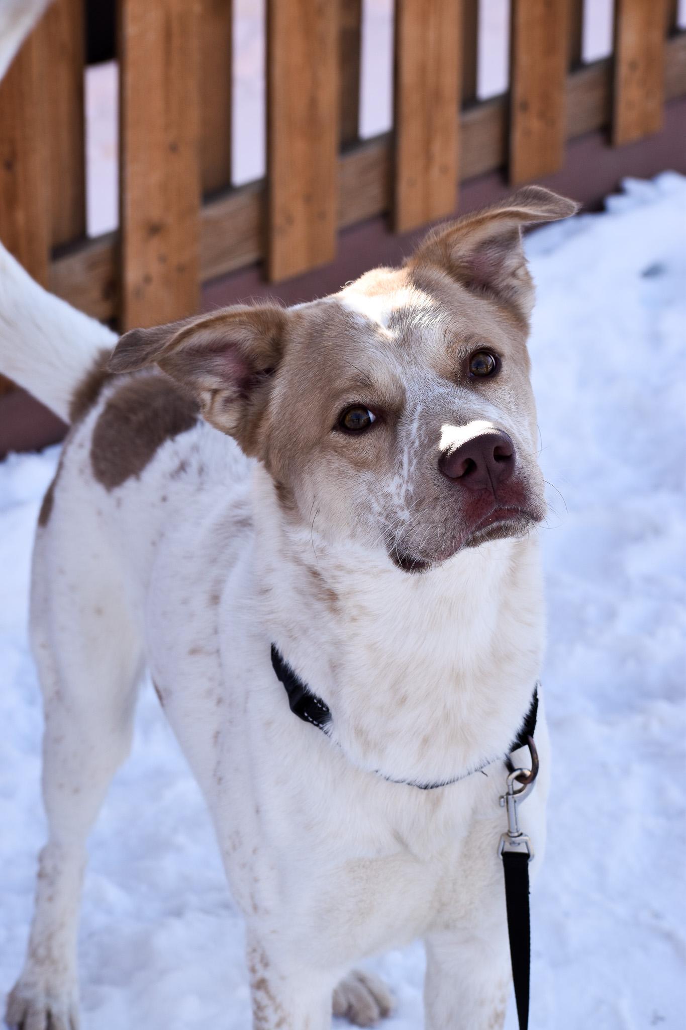 Zeus photo 3