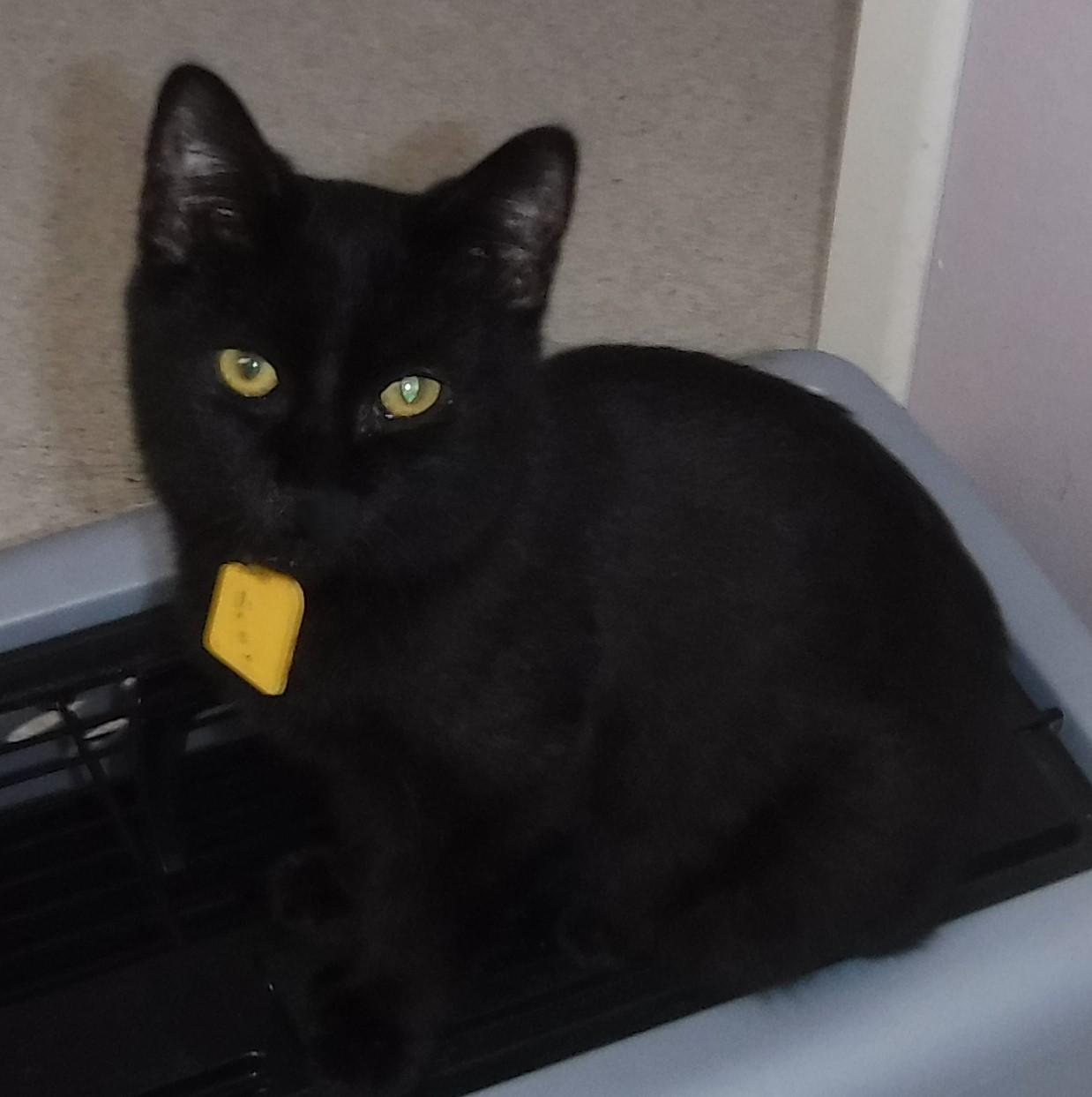 Sean - Slightly Special Needs