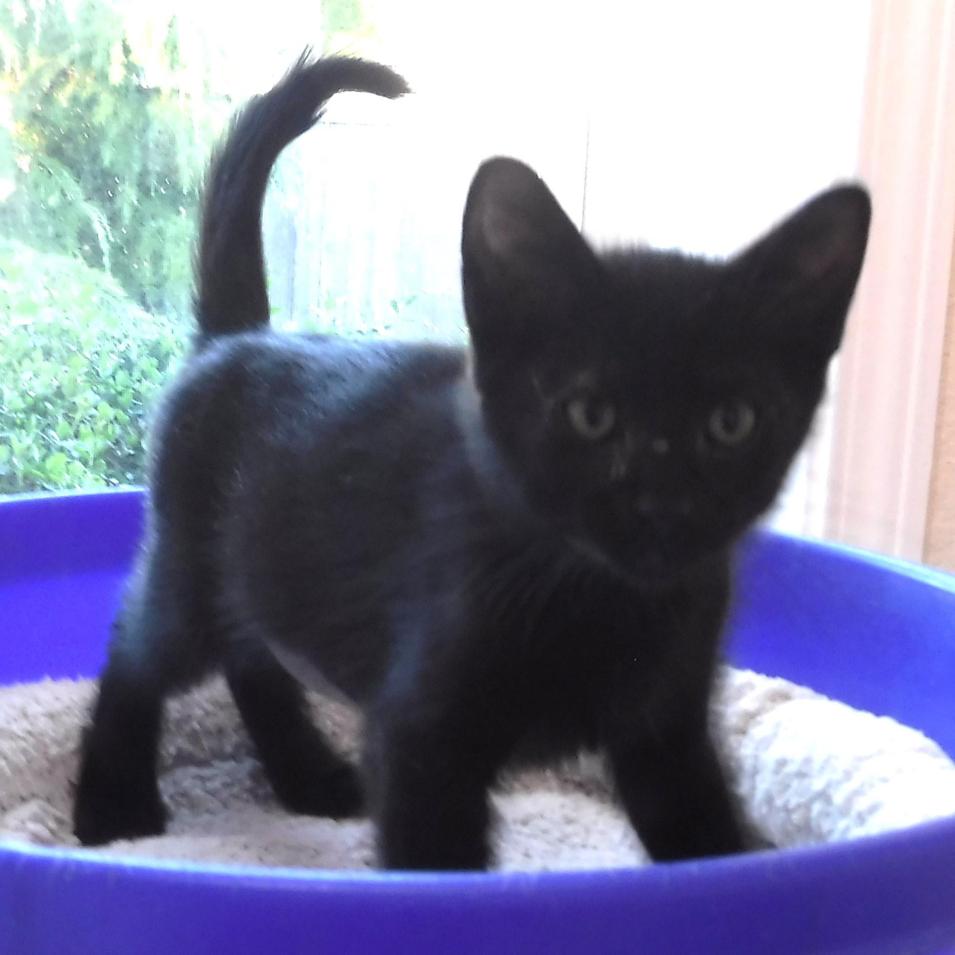 Sean - Slightly Special Needs