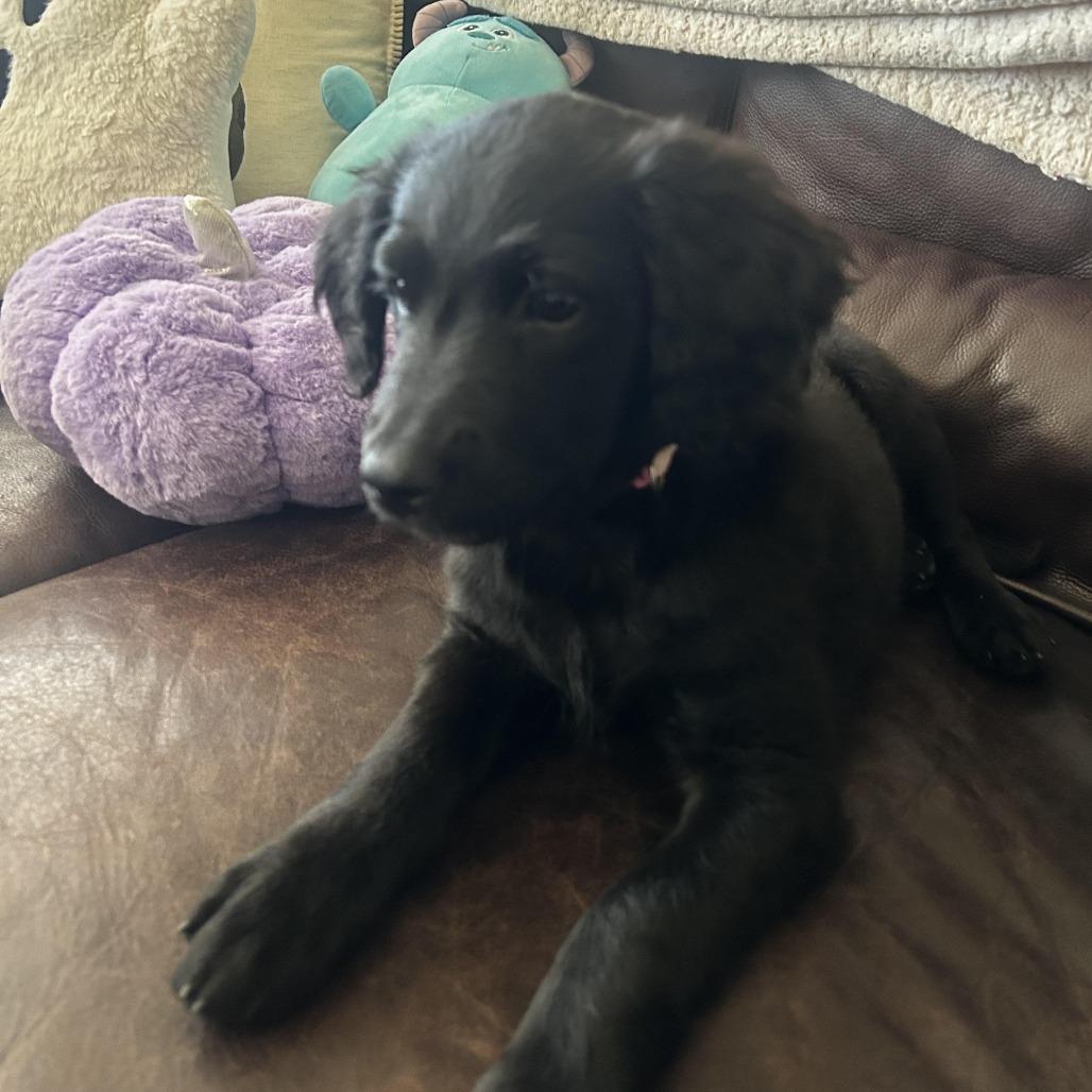 Nita D71389 photo