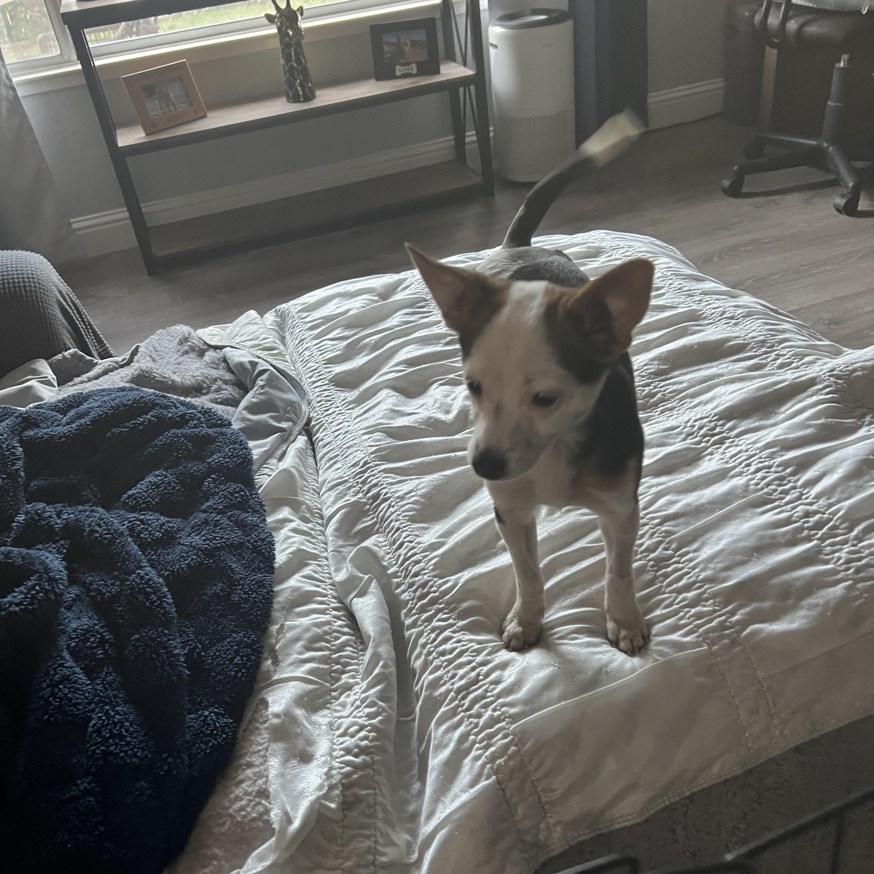 Rosie
