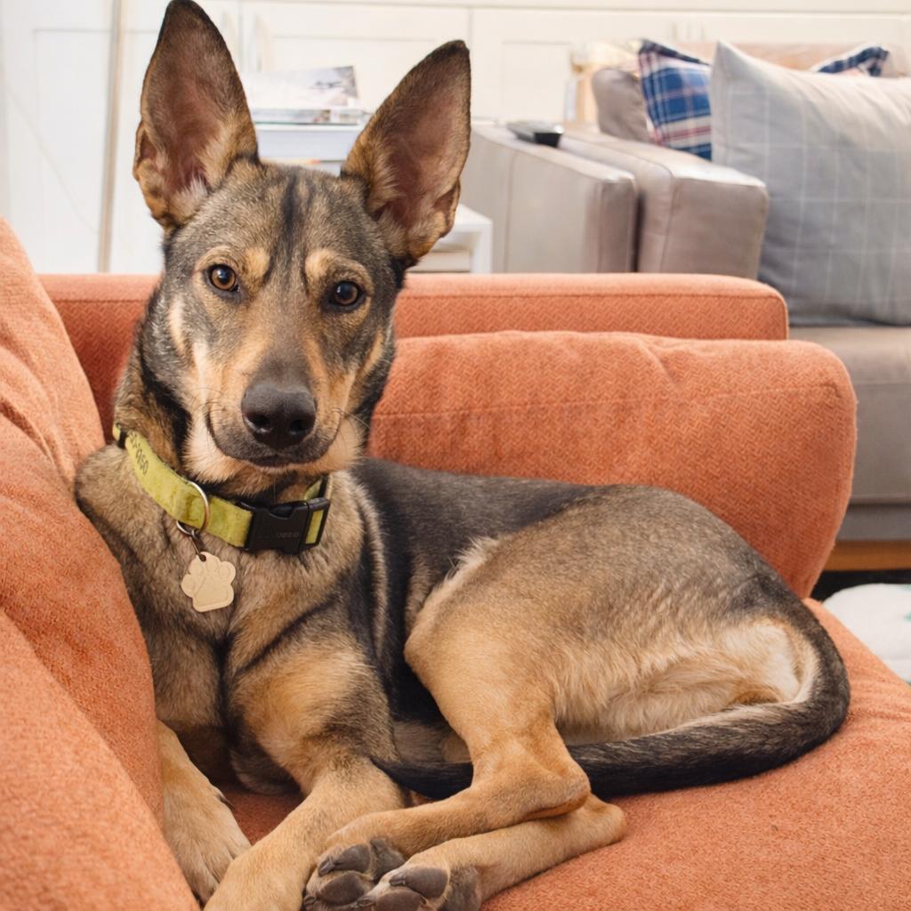 Lila — thumbnail 2