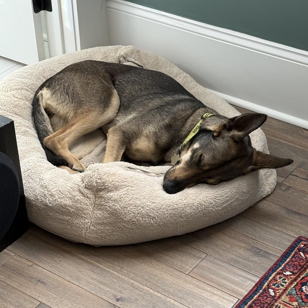 Lila — thumbnail 4