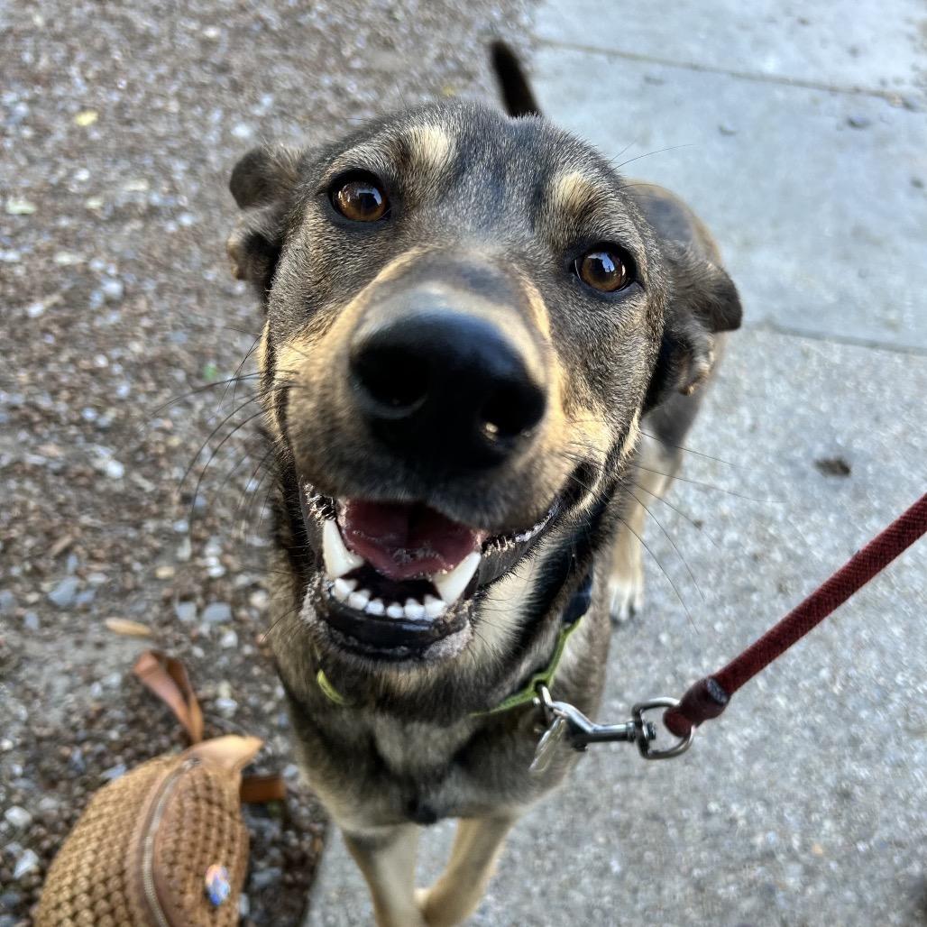 Lila — thumbnail 5