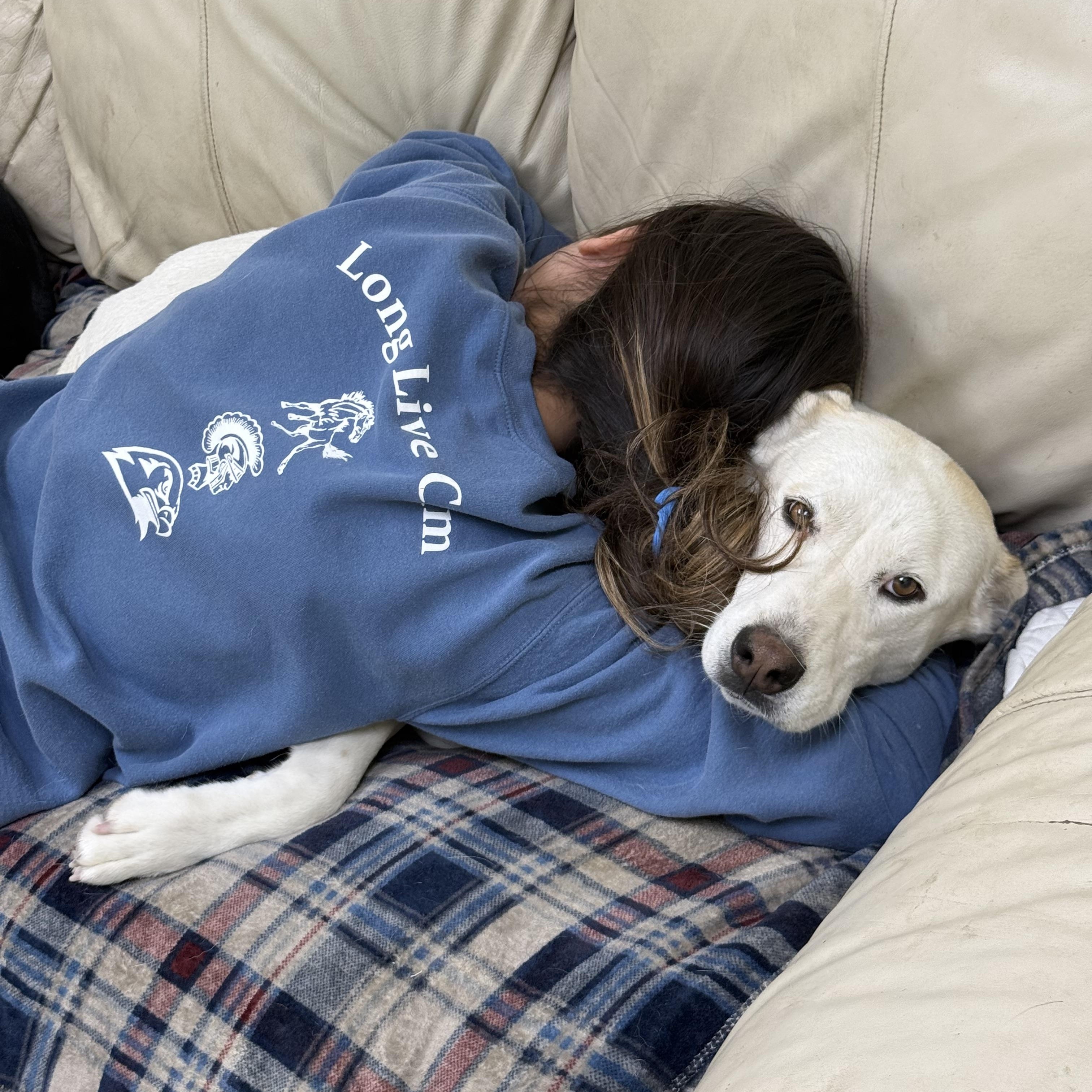 Cadence, a Adoptable mixed breed in Hiawatha, KS image 3/5