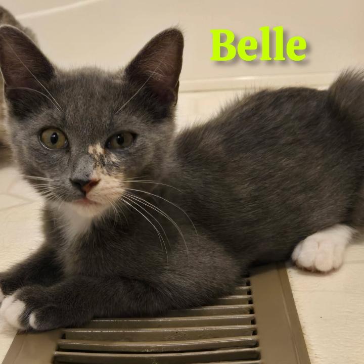 Belle