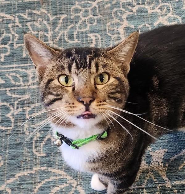 Jack