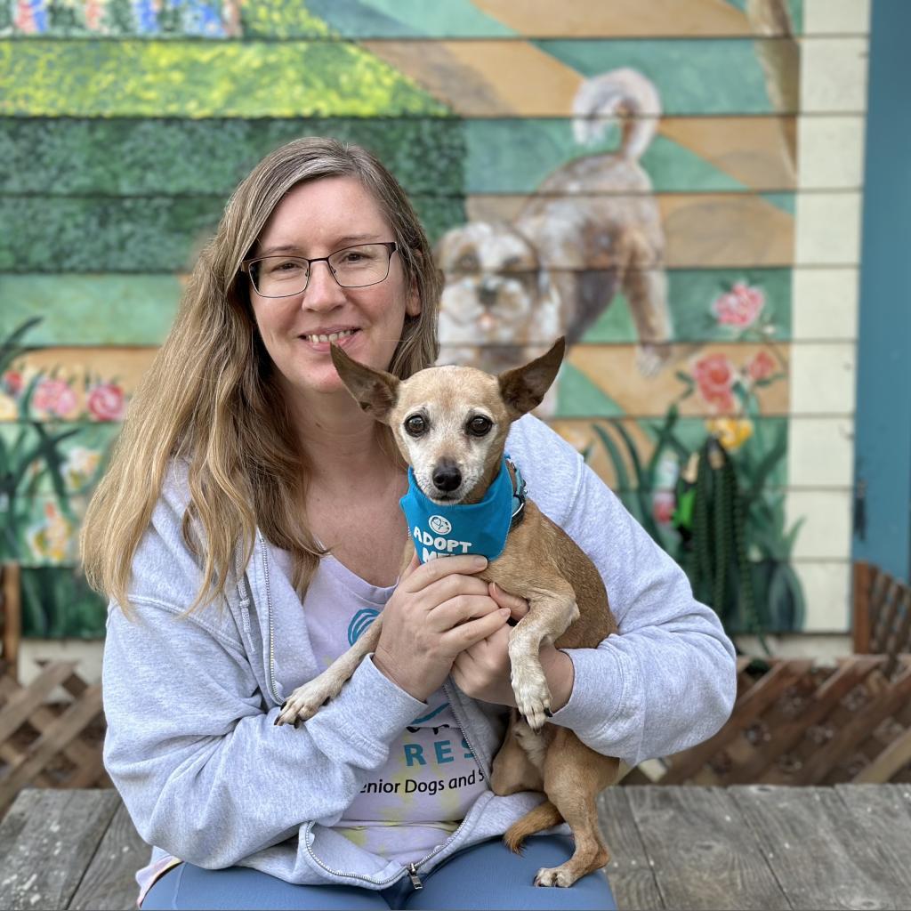 Enlarge Russell (Rusty), a Adoptable mixed breed in Pacific Grove, CA image 3/5