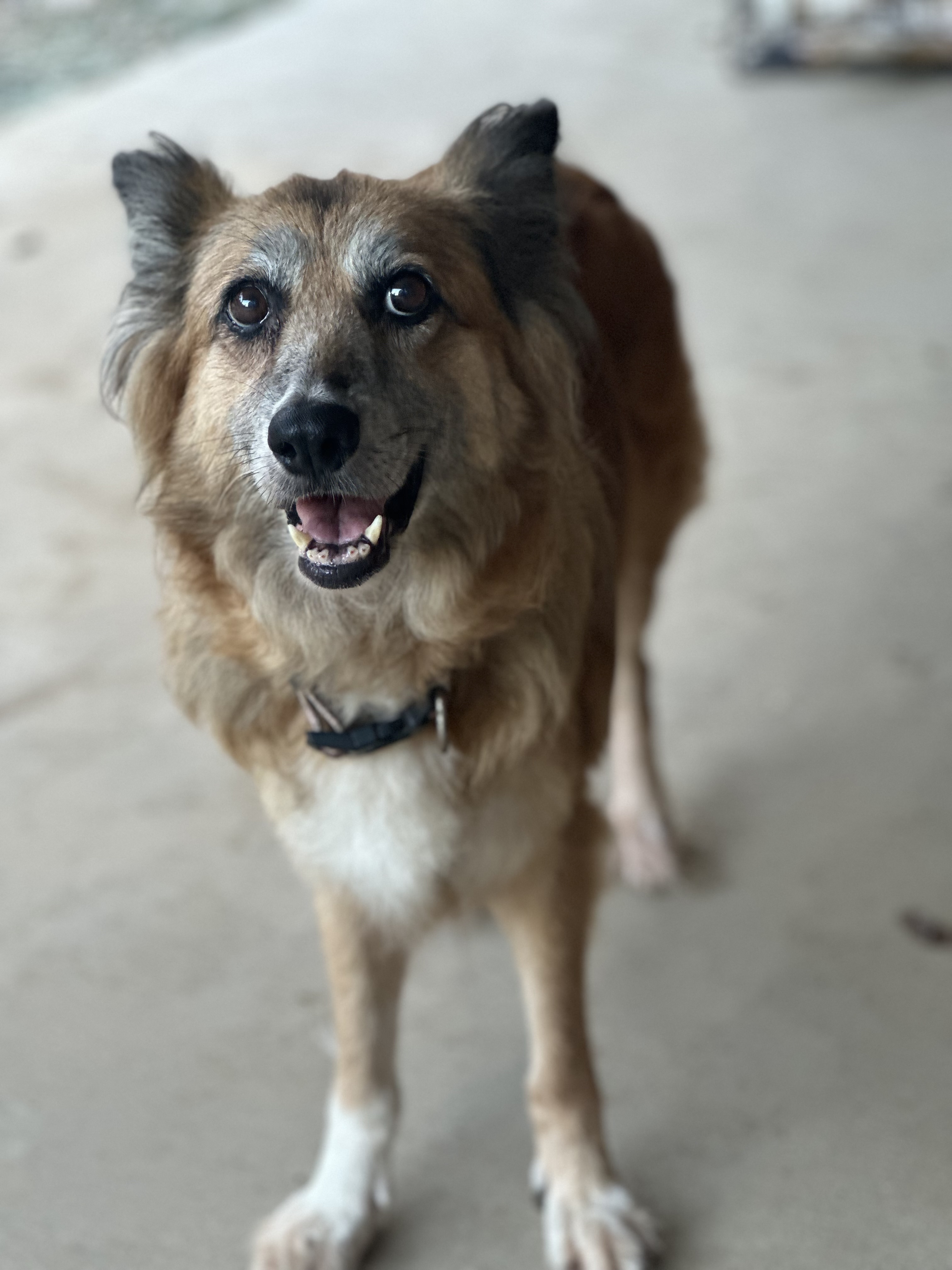 Bella photo 3