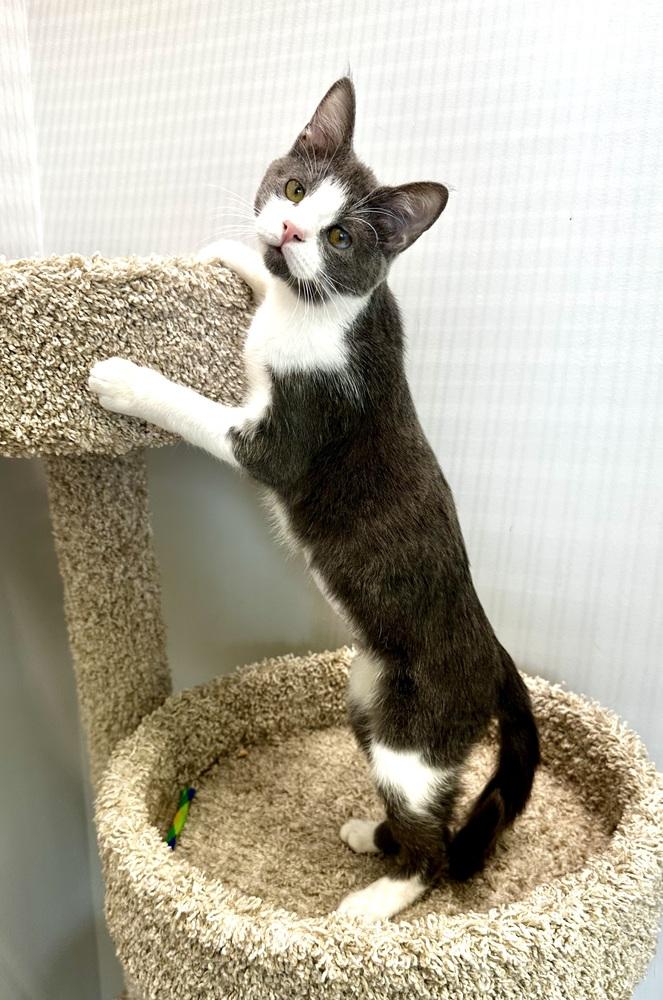 Faye — thumbnail 2