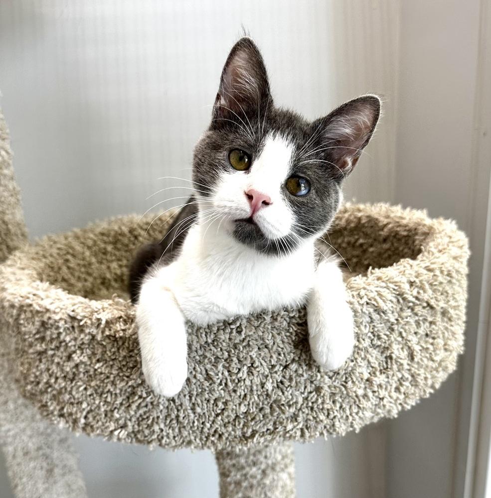 Faye — thumbnail 4