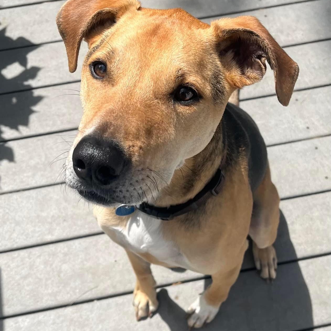 Jack